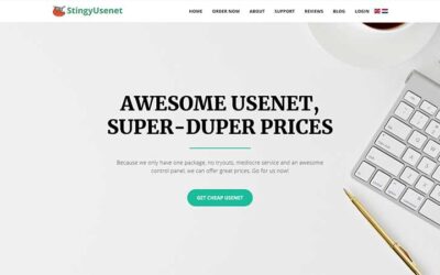 StingyUsenet Review