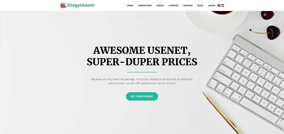 StingyUsenet Review