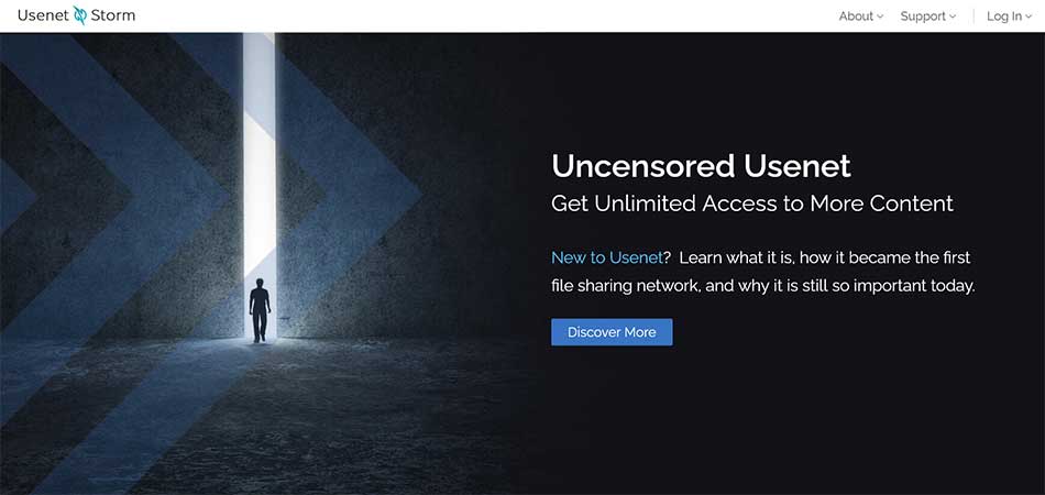 UsenetStorm Review