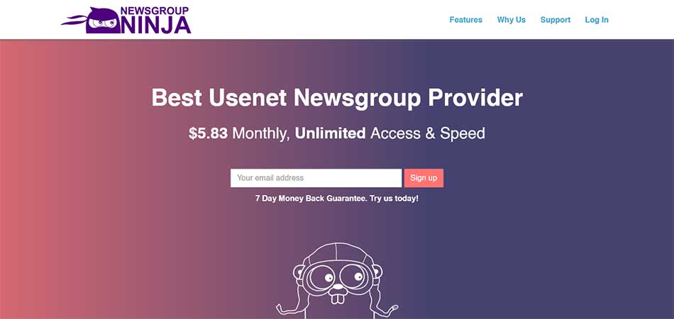 Newsgroup Ninja Header